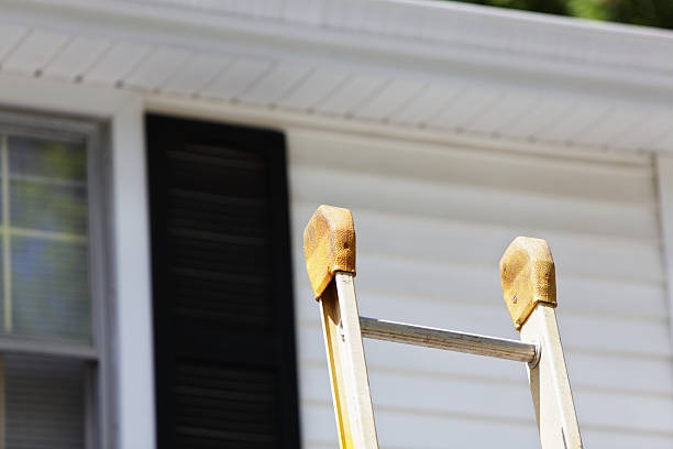 Fascia and Soffit Installation in Belvedere Park, GA